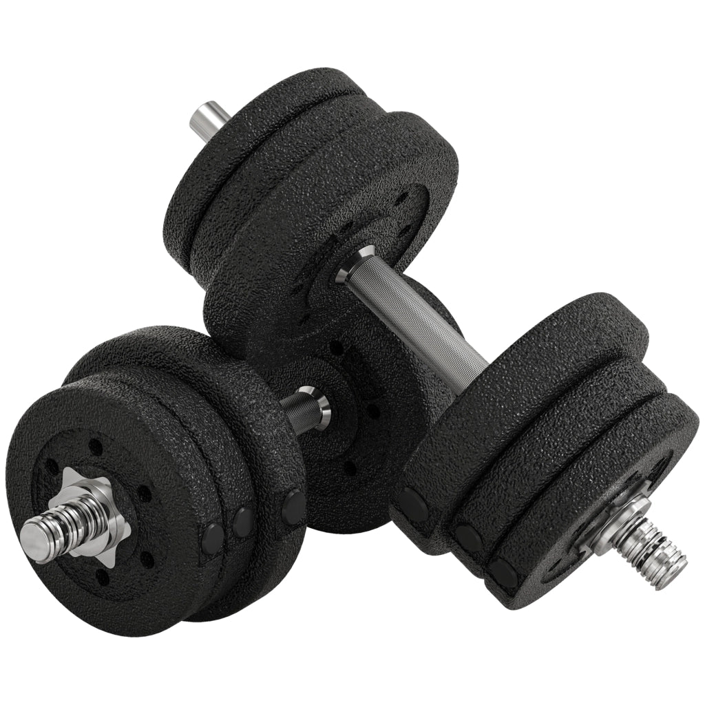 Set Manubri Palestra da 25 kg Totali con 12 Dischi Pesi e 2 Barre da 2 kg. Nero