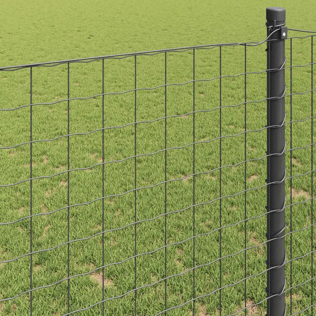 Recinzione Euro Grigio 0,8 x 25 m Ferro rivestito in PVC 42004516