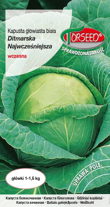 Cavolo cappuccio bianco Ditmarska Early 2g