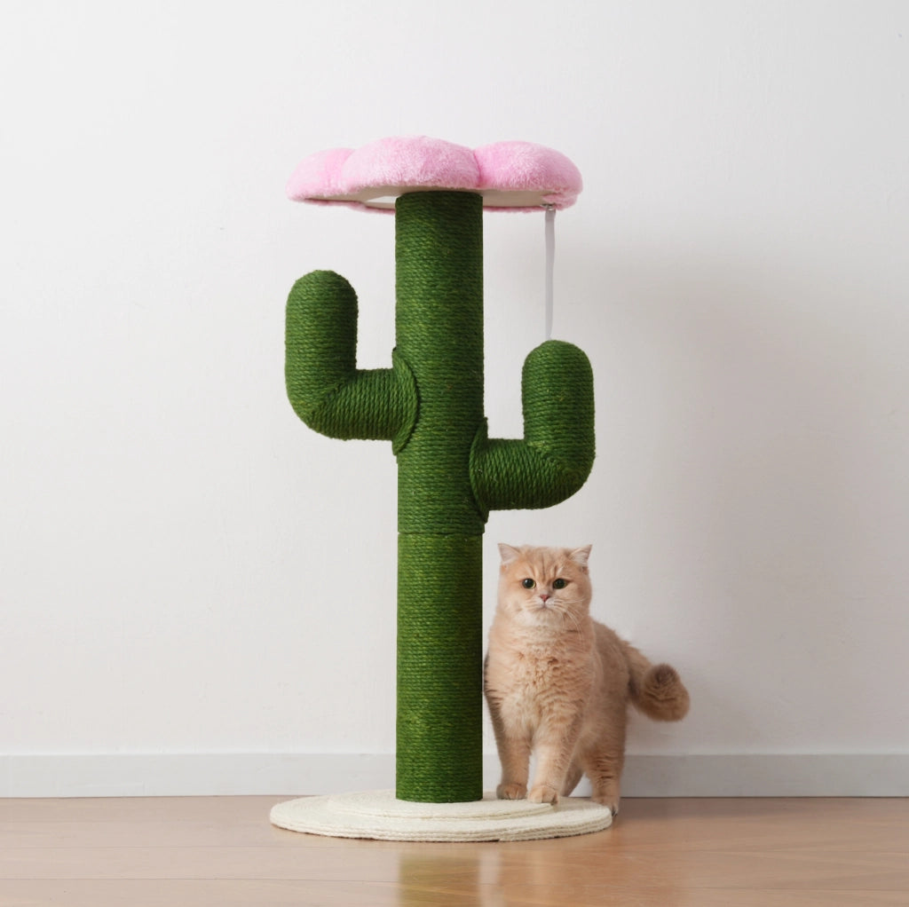 Tiragraffi a cactus verde 90 cm con sisal e sistema antiribaltamento