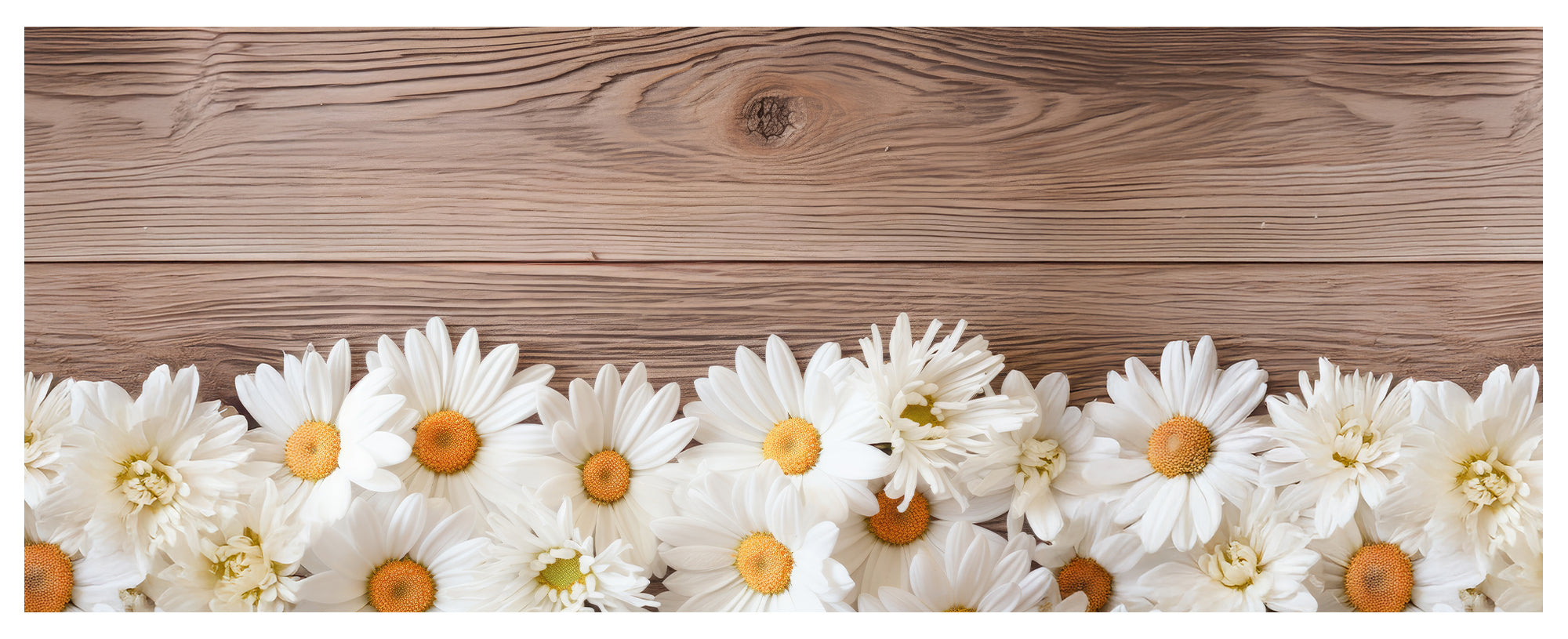 Tappeto Cucina Antiscivolo Made in Italy Passatoia Antimacchia Multiuso Corridoio Soggiorno Lavabile in Lavatrice - 50x500 - Margherite