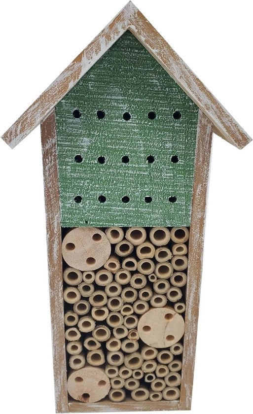 Insectario Galway - Insectario sostenibile per api selvatiche - Ca. 15 x 30 x 13 cm - Legno di conifera/bambù FSC certificato - Miele/verde