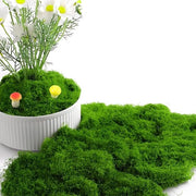 Decorazione per esterni 100 g - Mosaico con pinza - Funghi decorativi - Arte per giardino - Decorazione per parete - Vista naturale