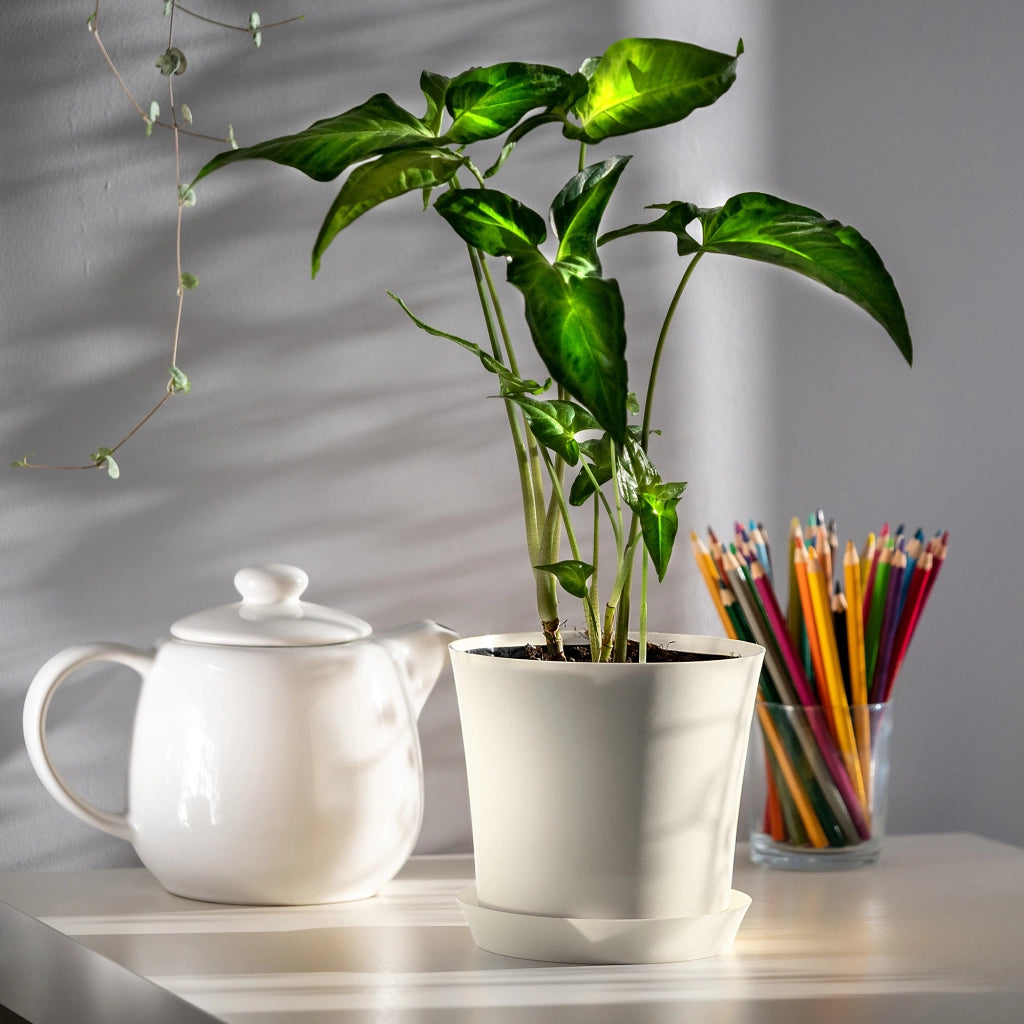 Vaso da fiori KADAX con supporto, coperchio, ciotola rotonda, 11 cm, bianco