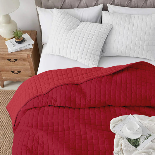 Trapuntino Coperta Primaverile Bicolore Trapunta Anallergica Piumino Mezza Stagione e Antiacaro Colorato Tinta Unita Made in Italy Bordeaux/Rosso - Matrimoniale