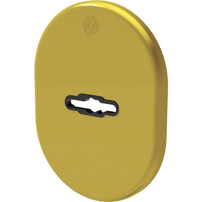 MOSTRINA PORTA BLINDATA 4301 SECUREMME - DM OTTONE LUCIDO MM 82X62- 5 pezzi