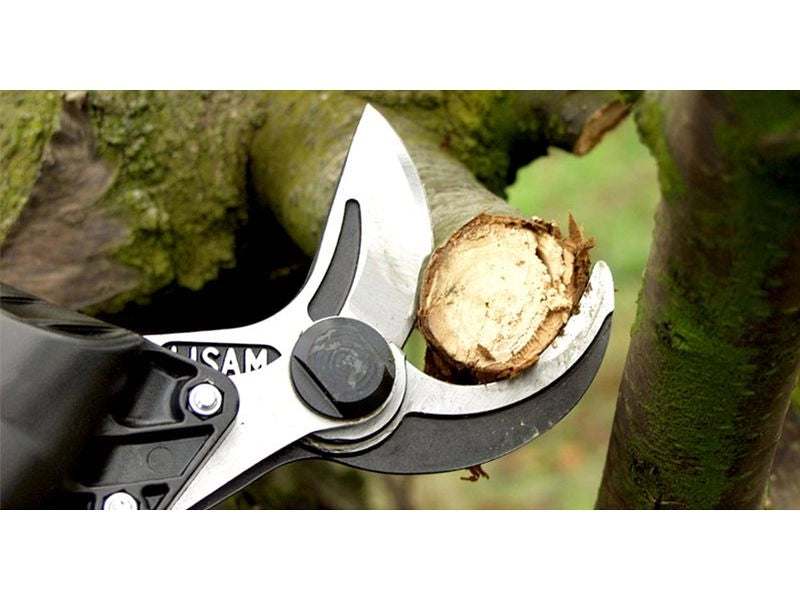 Forbice pneumatica da potatura Lisam SuperSly Rapid con attacco rapido
