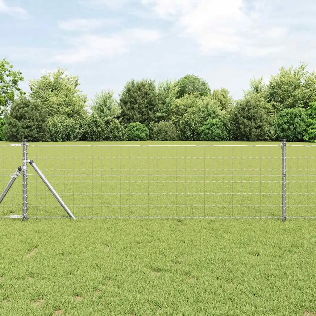 Recinzione con Posto Argento 0,4 x 50 m Acciaio e PVC