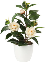 Camellia Japonica Kunstkamerplant, in vaso di plastica, fiori decorativi di seta, camelia, fiori artificiali per casa, hotel, decorazione