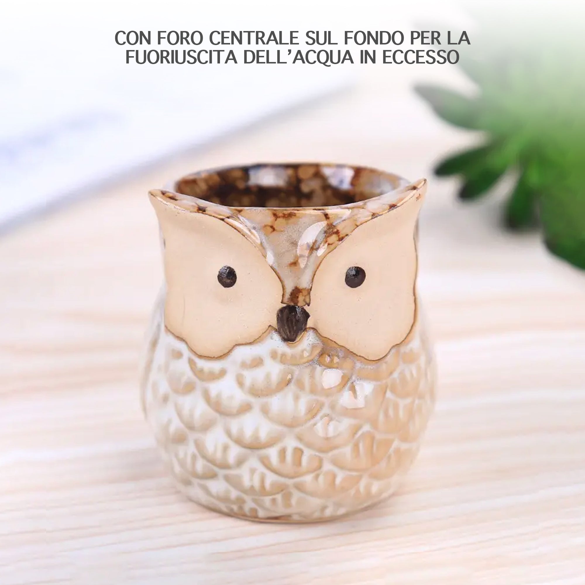 Set 6 Pezzi Vasi In Ceramica Fiori Piante Grasse Gufi Con Sotto Vaso In Bambù Foro Centrale Cactus Decorazione Interno Esterno Casa Vasetto Con Foro Scarico Fioriera Contenitore - 1Gufetti