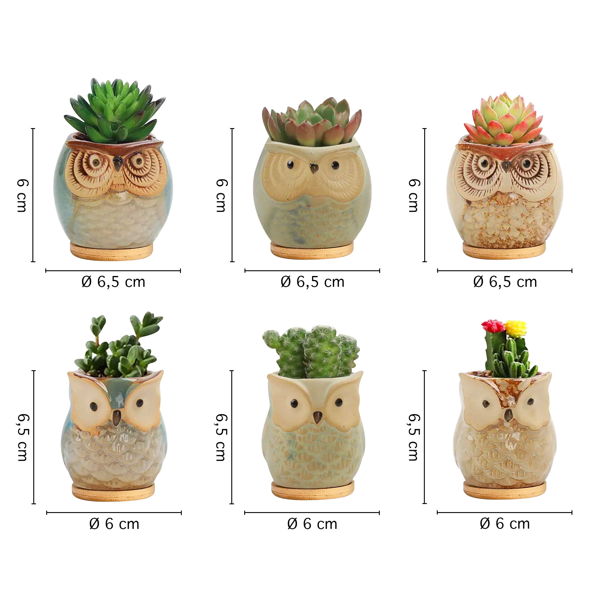 Set 6 Pezzi Vasi In Ceramica Fiori Piante Grasse Gufi Con Sotto Vaso In Bambù Foro Centrale Cactus Decorazione Interno Esterno Casa Vasetto Con Foro Scarico Fioriera Contenitore - 1Gufetti
