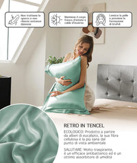 Federa 100% Seta Di Gelso 50x80Cm Certificate OekoTex Chiusura Zip Con Volant da 5 Cm Retro In Tencel Di Eucalipto Anticrespo Anti-Age Rigenerante Cromoterapia  - Acqua