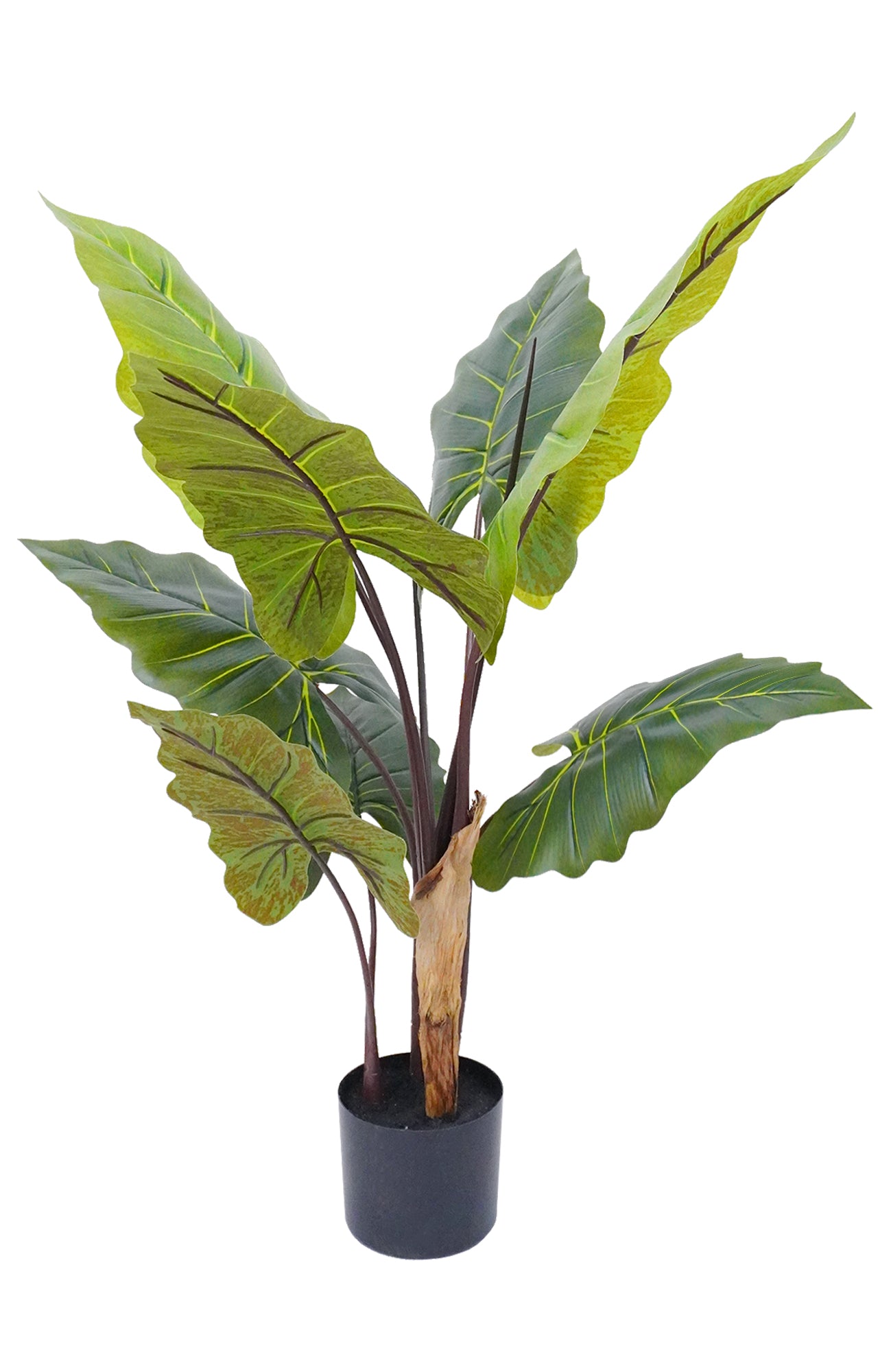 Pianta Finta Da Interno Artificiale Grandi Varie Altezze 100/150/180 Cm Artificiali Vari Modelli Modellabili Decorazioni Casa Ufficio - Taro - Altezza 100cm