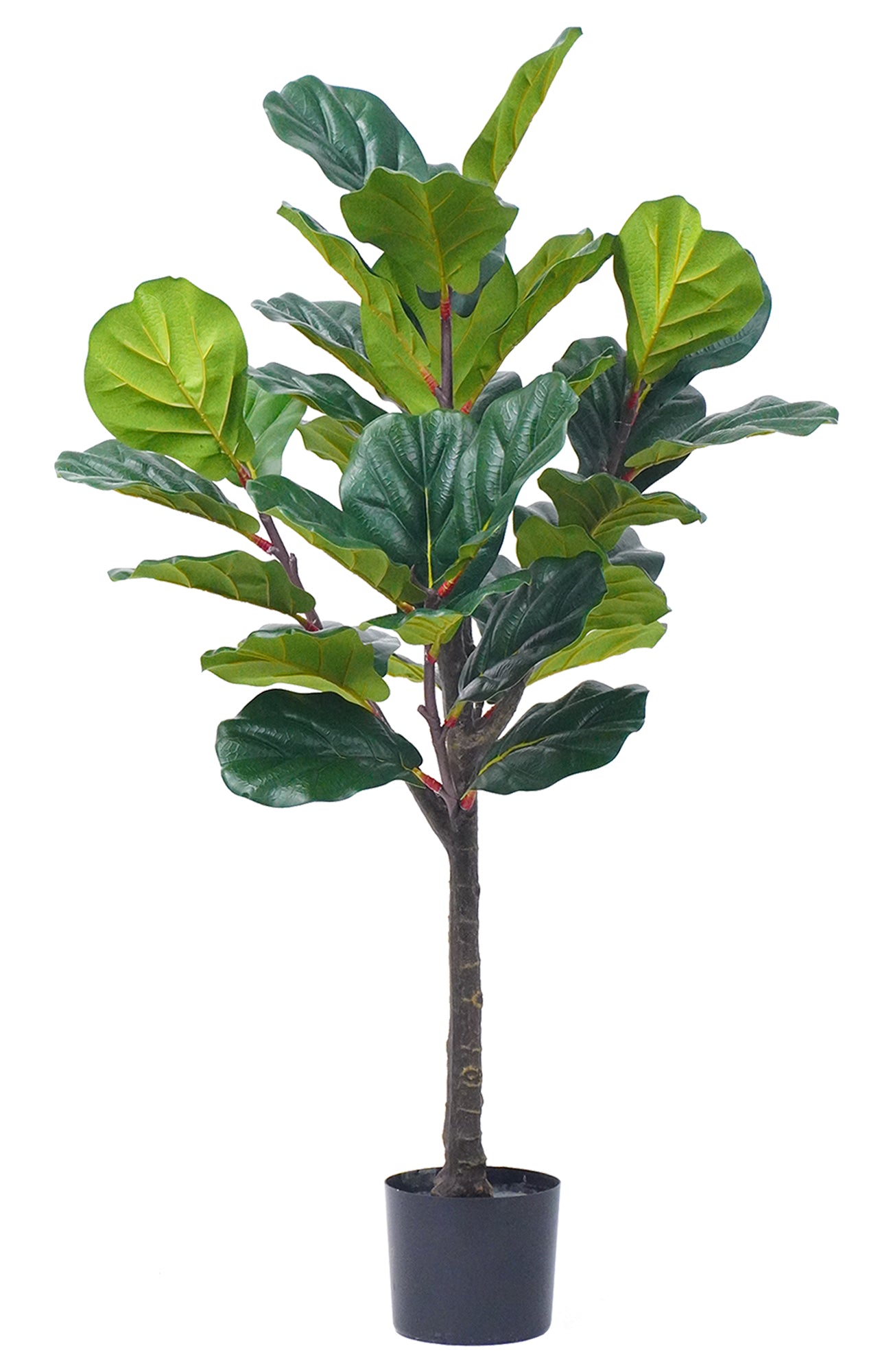 Pianta Finta Da Interno Artificiale Grandi Varie Altezze 100/150/180 Cm Artificiali Vari Modelli Modellabili Decorazioni Casa Ufficio - Fico Foglia Violino - Altezza 100cm