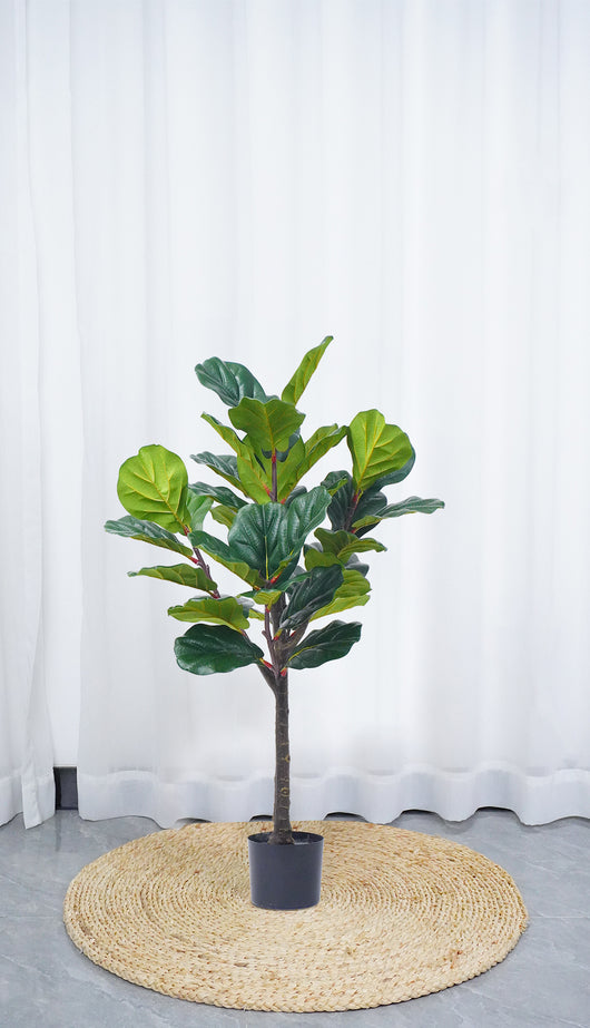 Pianta Finta Da Interno Artificiale Grandi Varie Altezze 100/150/180 Cm Artificiali Vari Modelli Modellabili Decorazioni Casa Ufficio - Fico Foglia Violino - Altezza 150cm