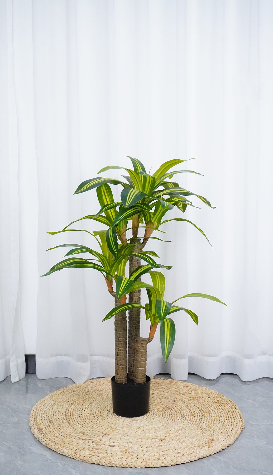 Pianta Finta Da Interno Artificiale Grandi Varie Altezze 100/150/180 Cm Artificiali Vari Modelli Modellabili Decorazioni Casa Ufficio - Dracaena - Altezza 100cm
