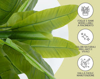 Pianta Finta Da Interno Artificiale Grandi Varie Altezze 100/150/180 Cm Artificiali Vari Modelli Modellabili Decorazioni Casa Ufficio - Banano - Altezza 100cm