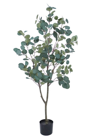 Pianta Finta Da Interno Artificiale Grandi Varie Altezze 100/150/180 Cm Artificiali Vari Modelli Modellabili Decorazioni Casa Ufficio - Albero di Eucalipto - Altezza 180cm