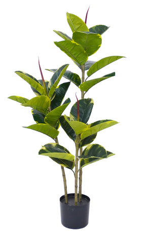 Pianta Finta Da Interno Artificiale Grandi Varie Altezze 100/150/180 Cm Artificiali Vari Modelli Modellabili Decorazioni Casa Ufficio - Albero Della Gomma - Altezza 100cm