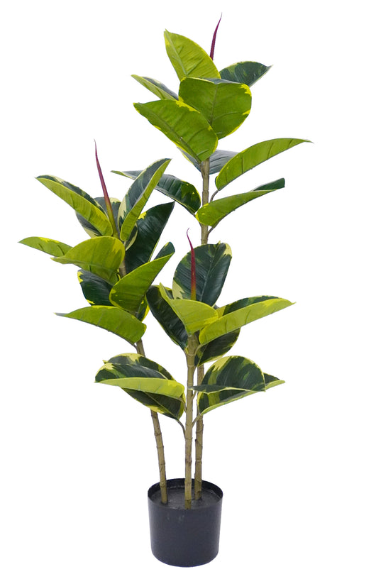 Pianta Finta Da Interno Artificiale Grandi Varie Altezze 100/150/180 Cm Artificiali Vari Modelli Modellabili Decorazioni Casa Ufficio - Albero Della Gomma - Altezza 100cm