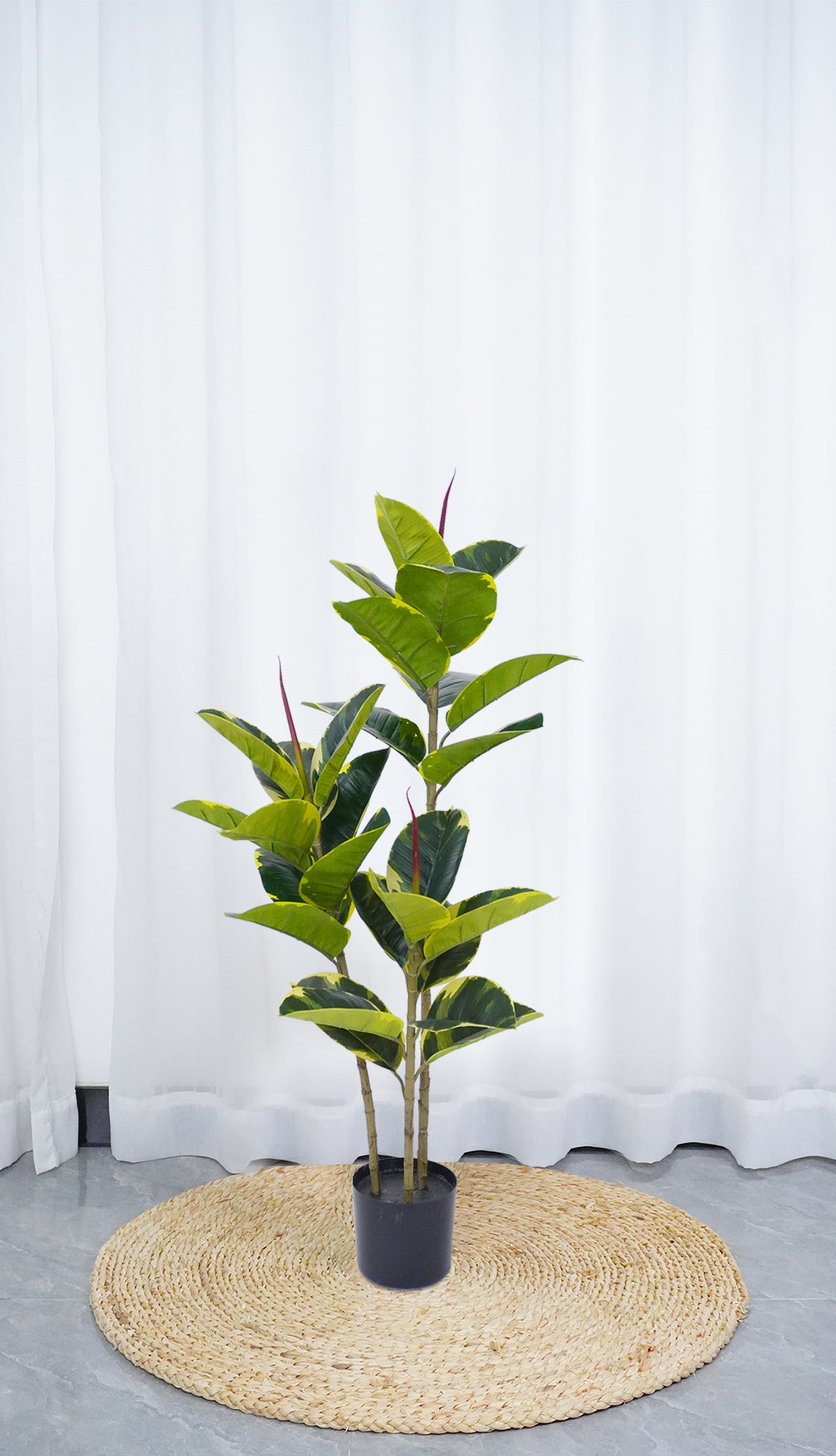 Pianta Finta Da Interno Artificiale Grandi Varie Altezze 100/150/180 Cm Artificiali Vari Modelli Modellabili Decorazioni Casa Ufficio - Albero Della Gomma - Altezza 100cm