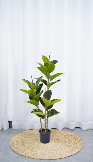 Pianta Finta Da Interno Artificiale Grandi Varie Altezze 100/150/180 Cm Artificiali Vari Modelli Modellabili Decorazioni Casa Ufficio - Albero Della Gomma - Altezza 100cm