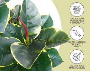 Pianta Finta Da Interno Artificiale Grandi Varie Altezze 100/150/180 Cm Artificiali Vari Modelli Modellabili Decorazioni Casa Ufficio - Albero Della Gomma - Altezza 100cm