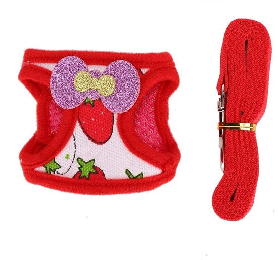 Set di Cinture e Cinghie per Piccoli Animali - Adattabile - Comodo - Peso Massimo 1-1,75 kg - Materiale: Tela - Cintura per Animali Domestici