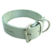 COLLARE PER CANE larg. mm 25 lung.cm 45  - BricoGo