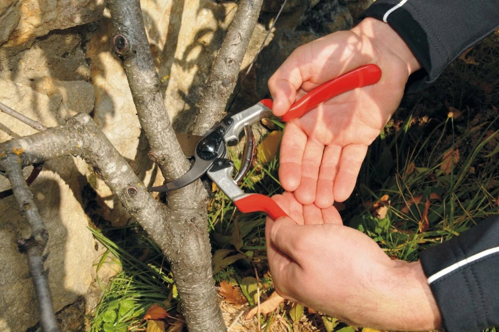 Felco 13 cesoia da potatura Incudine Rosso