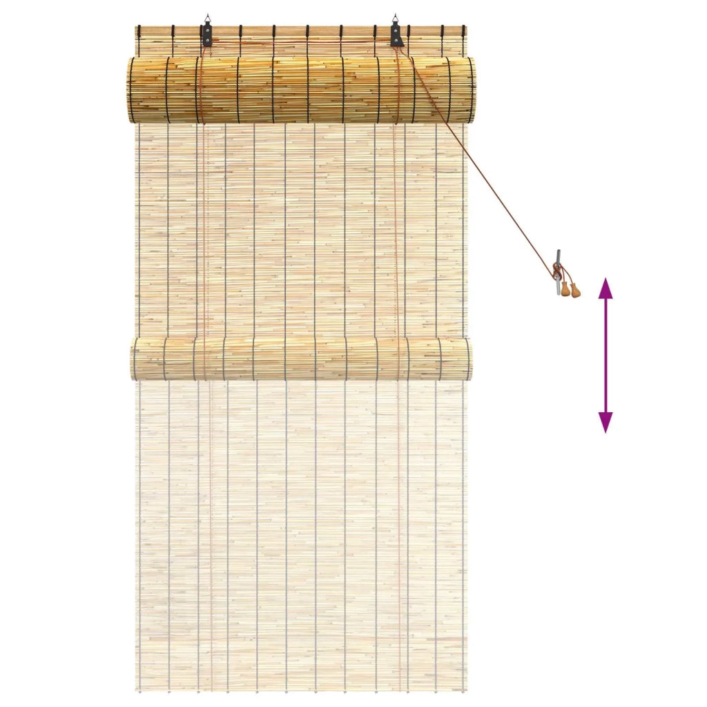 Tenda a rullo Naturale 80 x 160 cm Giunco 42034644