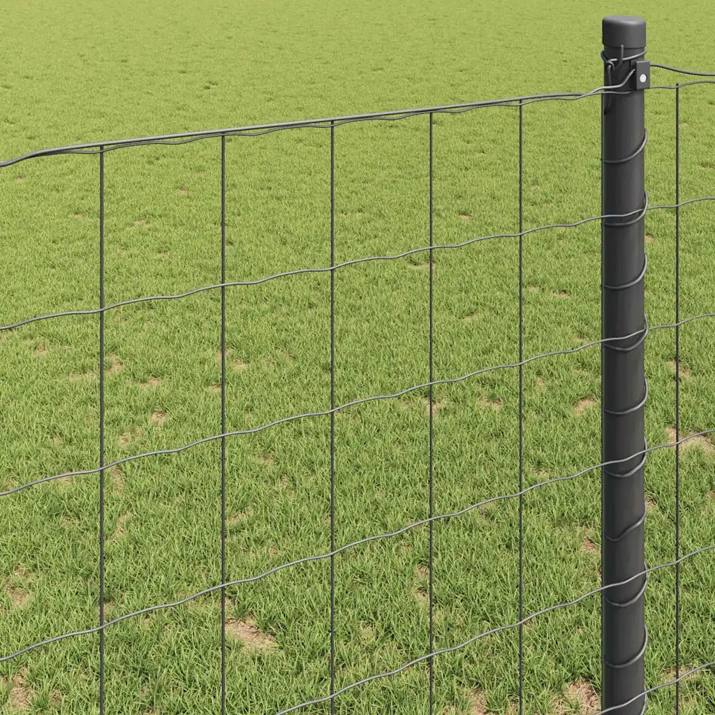 Recinzione Euro Grigio 1,2 x 25 m Ferro rivestito in PVC 42004542