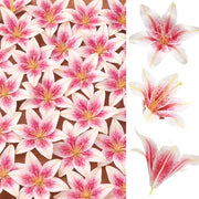 Fiori artificiali di lillà 24 pezzi - Falsi fiori realistici - Tessuto/Kunststoff - Capolatte grandi 14 cm - Decorazione per matrimoni/Abitazione - Trasformazione rosa-bianca
