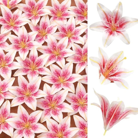 Fiori artificiali di lillà 24 pezzi - Falsi fiori realistici - Tessuto/Kunststoff - Capolatte grandi 14 cm - Decorazione per matrimoni/Abitazione - Trasformazione rosa-bianca