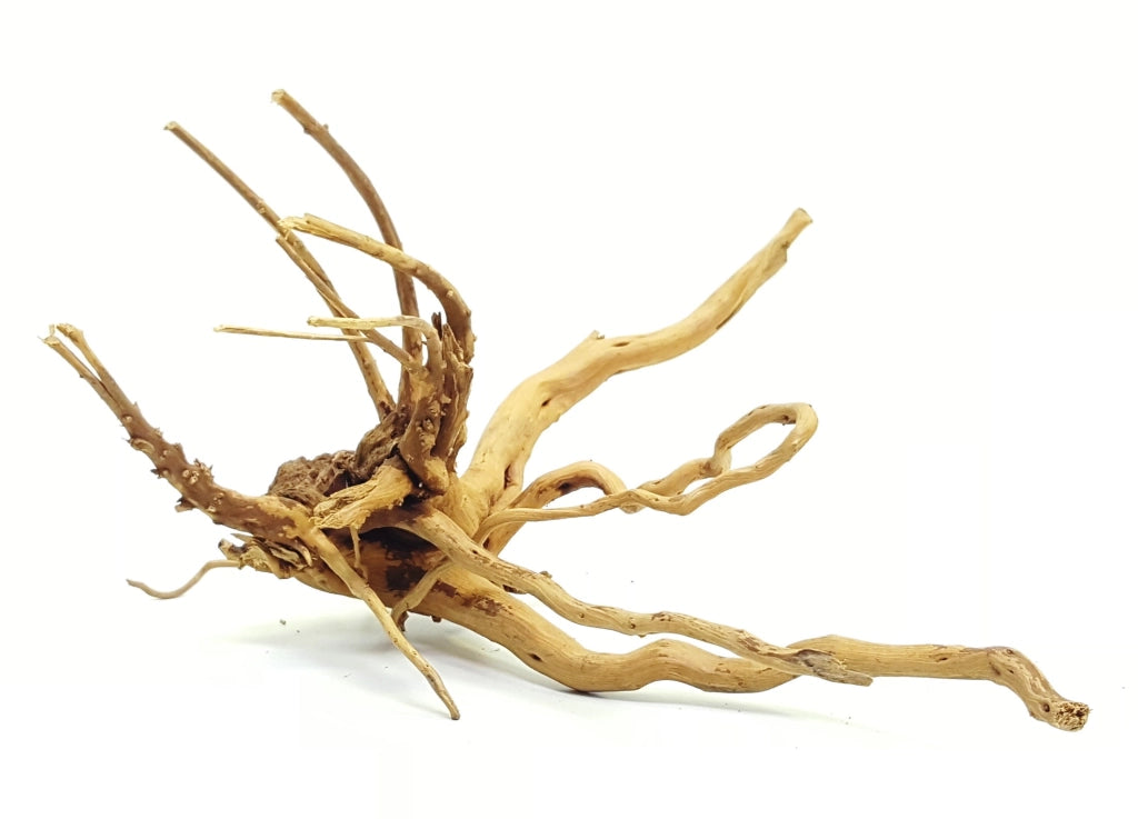 DecorLine Spider Wood Foto Indicativa - Legni decorativi naturali per acqua dolce Modello: M (20-35cm)