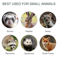 Gabbia Trappola per Animali Vivi Piccoli con Doppia Porta e Maniglia 80x25x30cm Verde Scuro