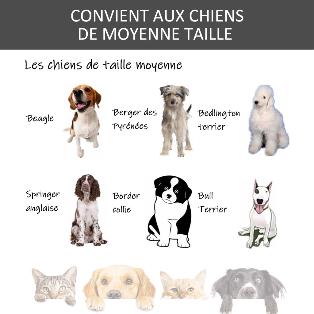 Gabbia per cani pieghevole con ruote ¨C zephmum ¨C grigio nero 94x58x69.5 cm