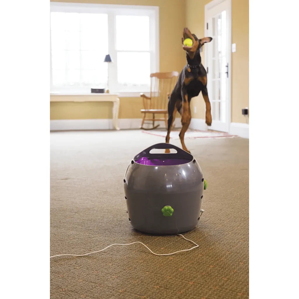 PetSafe Lanciapalline Automatico 9 m Grigio e Viola 411446