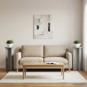 Supporto per piante 2 pcs Grigio Sonoma Ø40 x 100 cm 899696