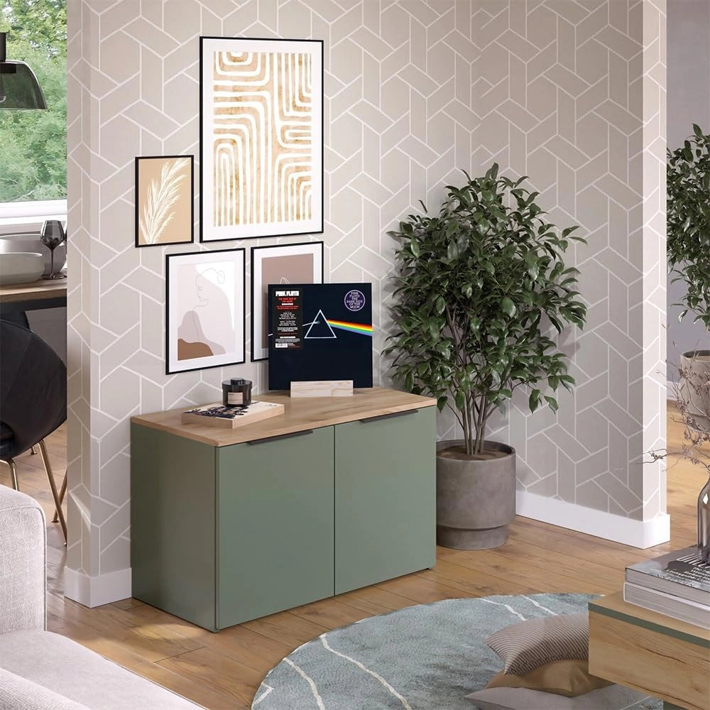 Credenza Wido, Verde, 80 x 50 cm con 2 porte, adatto per riporre abiti e oggetti per la casa
