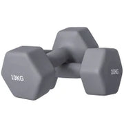 Set 2 Manubri Esagonali da 2x10 kg in Metallo e Plastica con Impugnatura Antiscivolo, 26x12x12 cm, Grigio