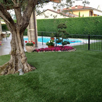 Olimpico - Tappeto Di Erba Sintetica In Pp+Lattice - 2X5Mt