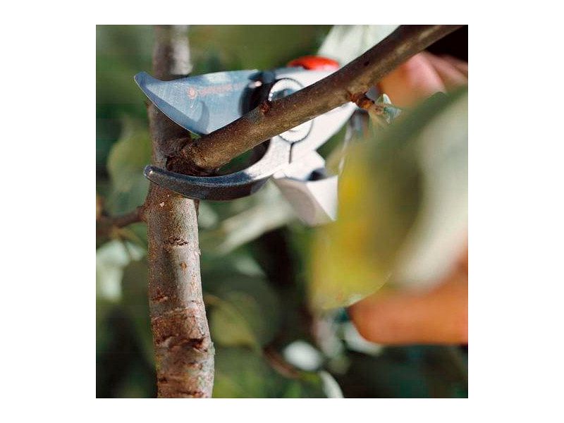 Cesoie per potatura BP 50 Premium Gardena sistema di regolazione 24mm