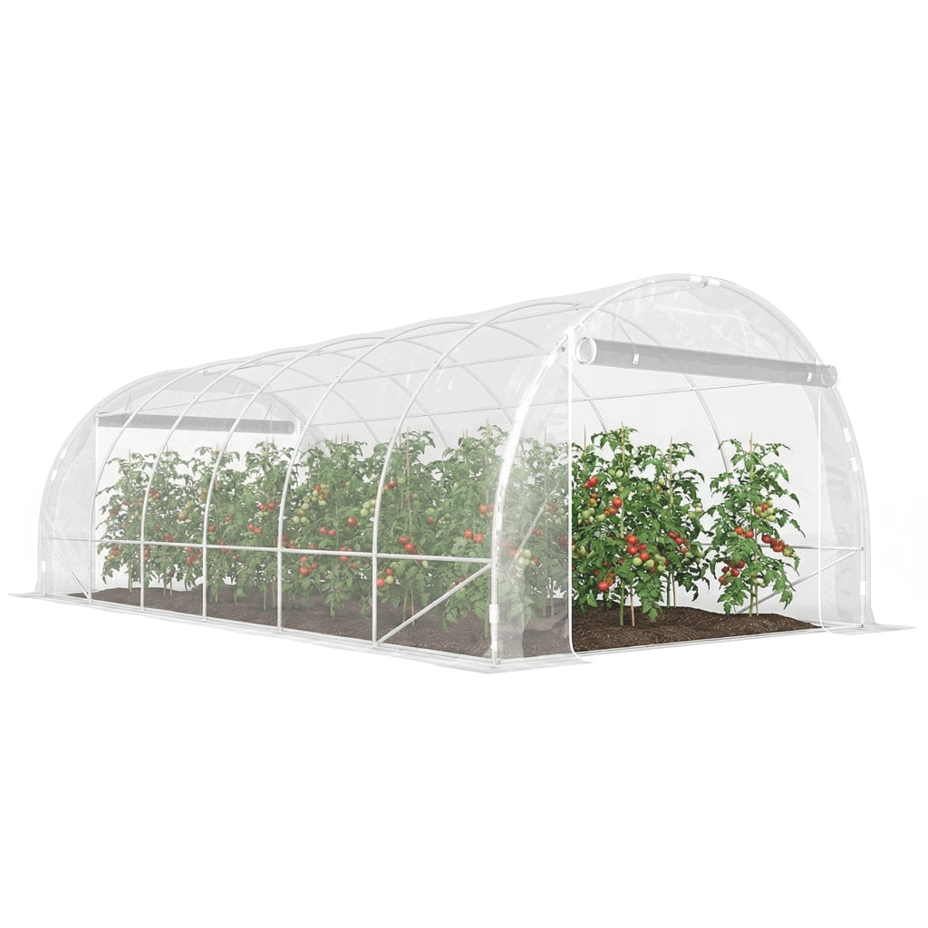 Serra a Tunnel 3x6x2 m con Porte Avvolgibili, Telaio in Acciaio e Copertura in PE Anti-UV, Trasparente