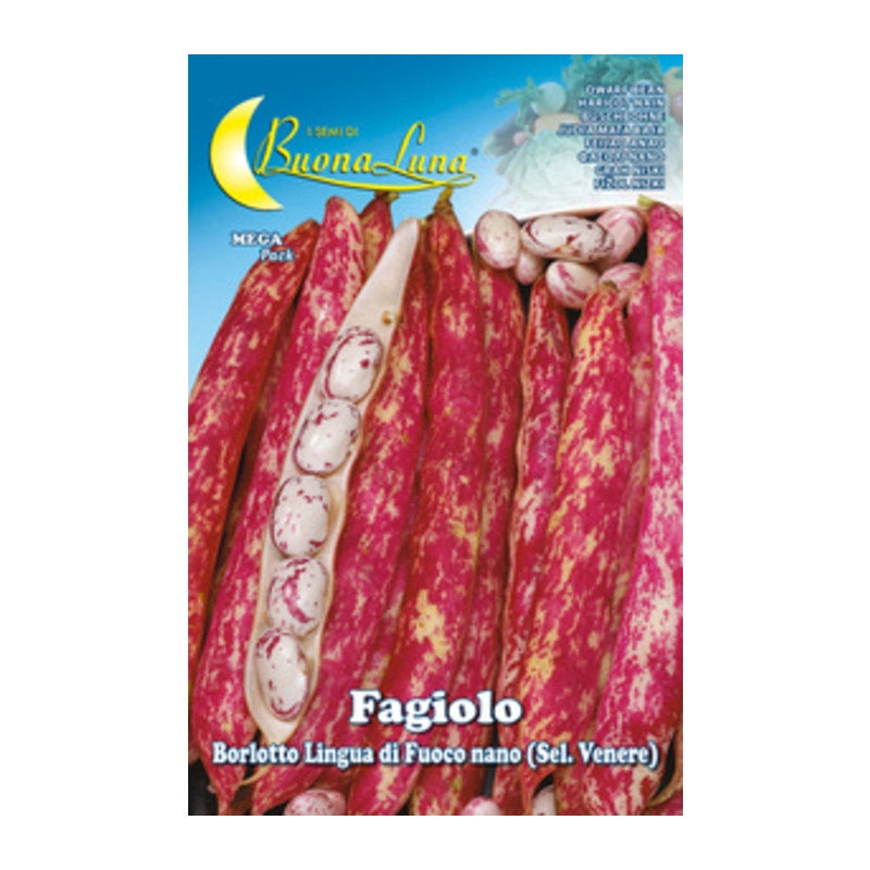 SEMI ORTO FAGIOLI NANI BORLOTTI- HORTUS SEMENTI- 5,0 pz