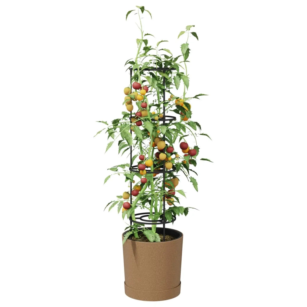 Coltivatore di pomodori Naturo ECO Ø 39 x 139 cm WPC 42033418