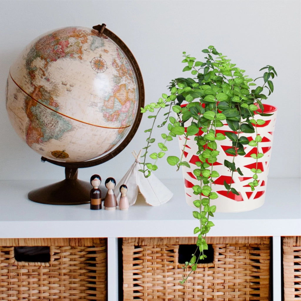 KADAX - Inserto in plastica per vaso di fiori e piante, 13 cm, rosso