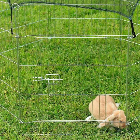 Porta cani e gatti – Interno ed esterno - Ripiegabile  - amichevole con animali domestici – Ripiegabile – Porta cuccioli