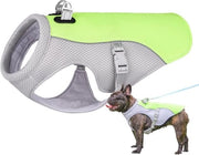Vestone per cani per l'estate, giacca rinfrescante per cani, vestone rinfrescante per cani, giacca rinfrescante per cani durante la passeggiata, giacca rinfrescante per cani (XXL, verde)