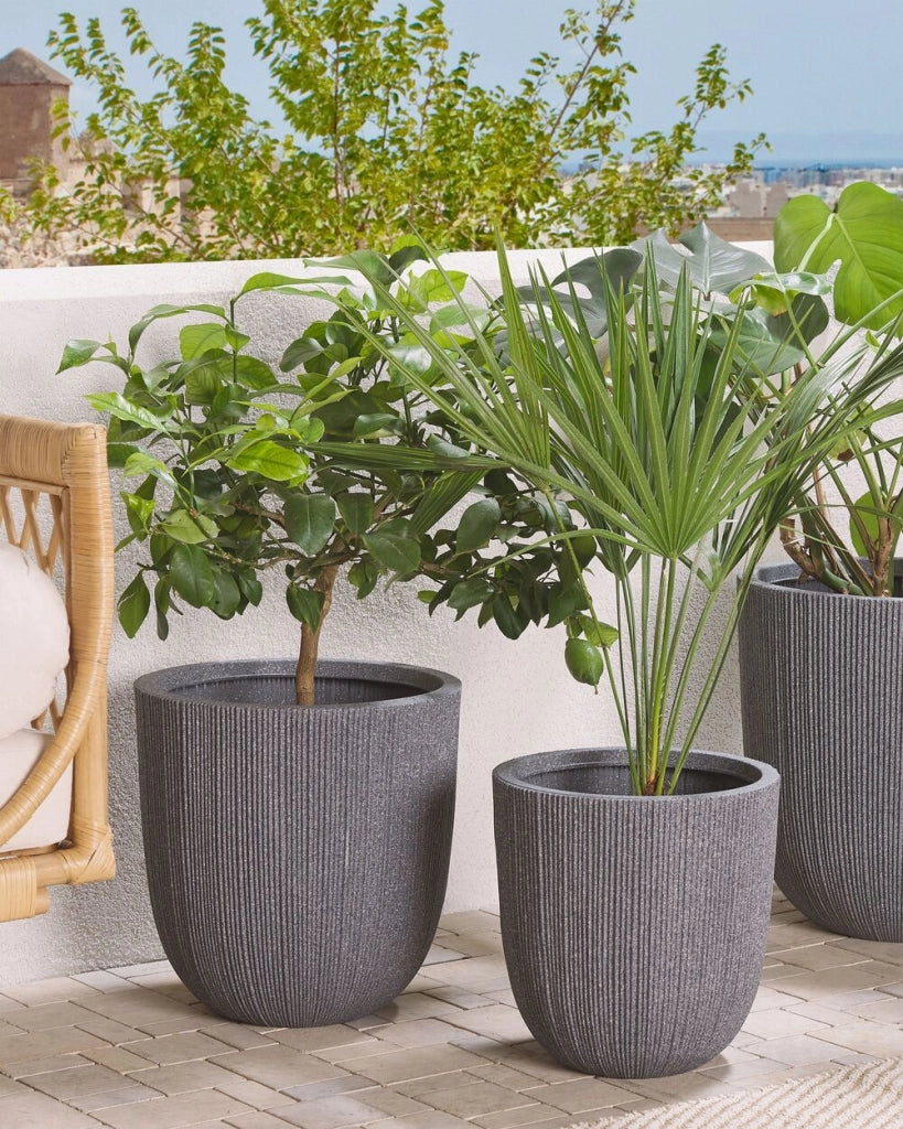 Vaso per fiori Fioriera alta in poliresina grigia 33 x ø 31 cm Accessori per decorazioni per interni e interni moderni e minimalisti